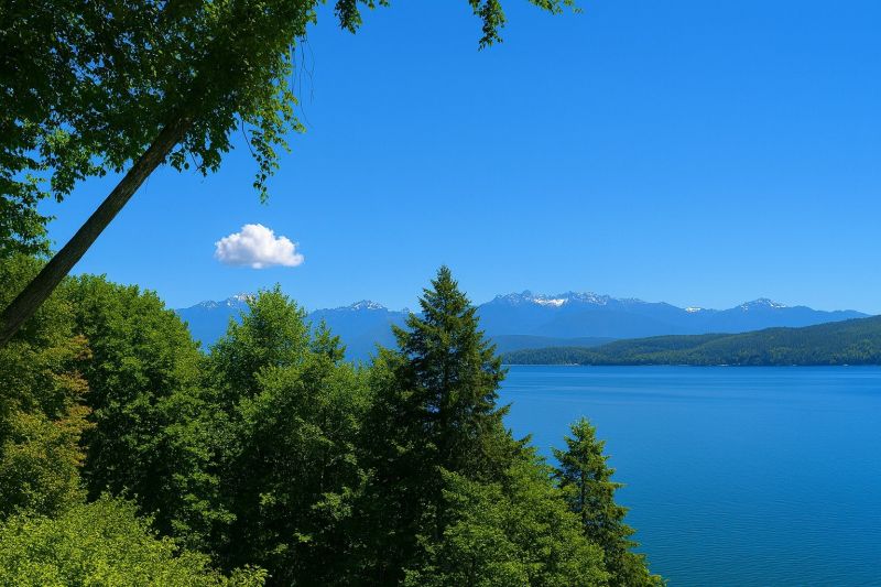 Best Shower Installation pros in Seattle, WA